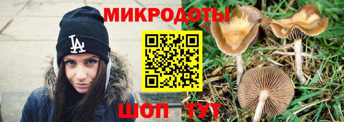 Галлюциногенные грибы Psilocybe  Псилоцибиновые грибы мицелий  Вход с VPN  Алапаевск 